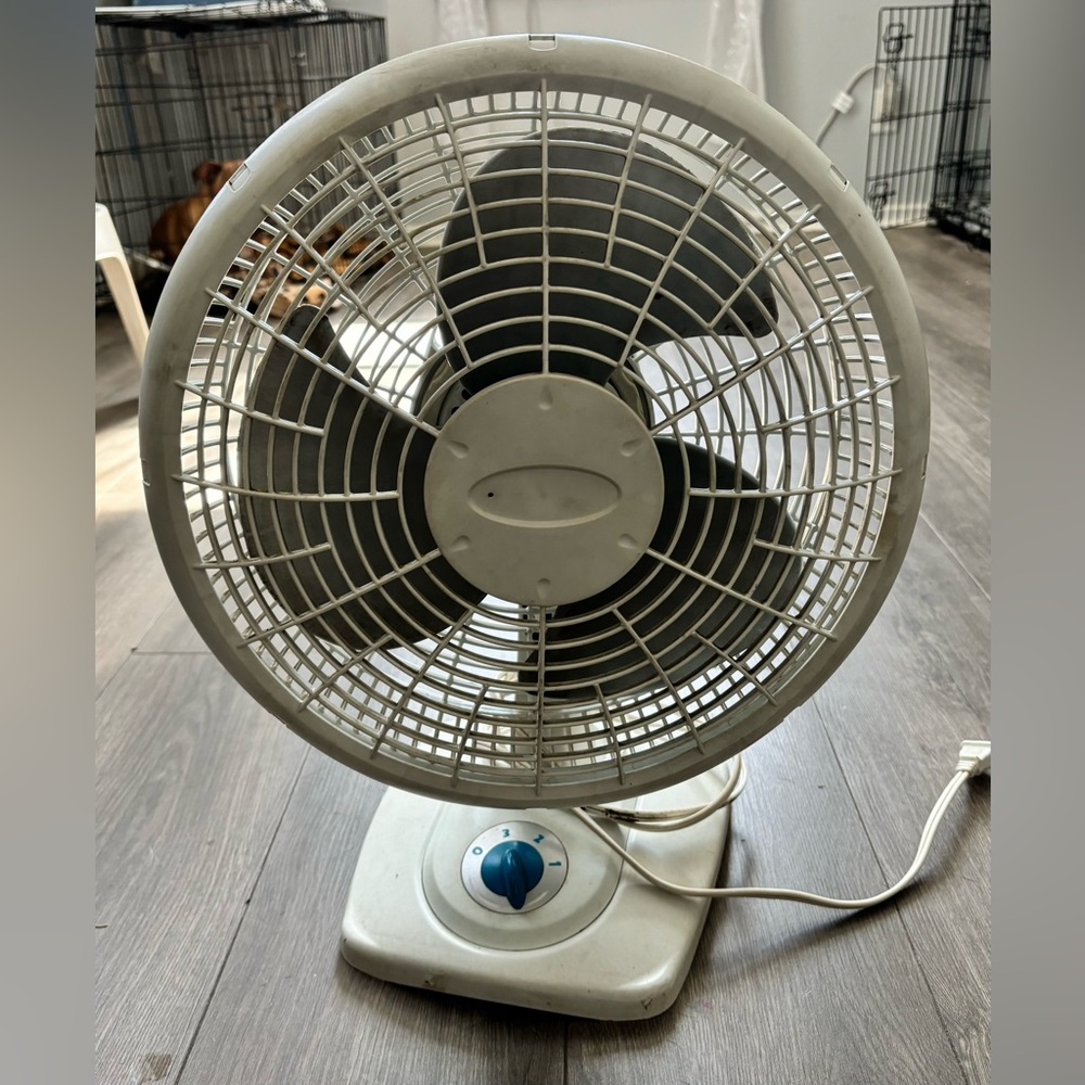 Circular fan
